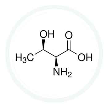 L-Thréonine  : un actif contenu dans les produits de la gamme PERMEA REGUL®